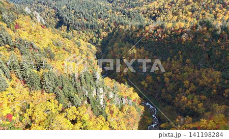 大雪山黒岳の渓谷を彩る鮮やかな紅葉と大自然のパノラマ空撮 大雪山黒岳の渓谷を彩る鮮やかな紅葉と大自然のパノラマ空撮 141198284