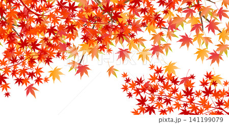 鮮やかな紅葉とオレンジ色の楓の秋の背景素材 鮮やかな紅葉とオレンジ色の楓の秋の背景素材 141199079