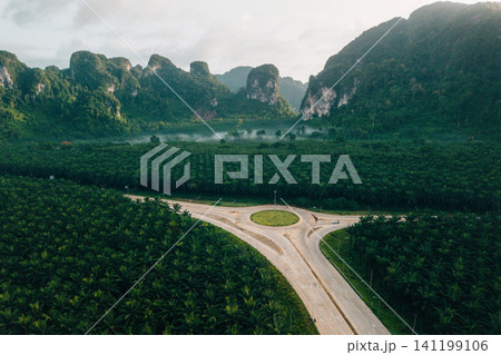 Aerial View of Circular Roundabout Intersection in Green Palm Forest 141199106