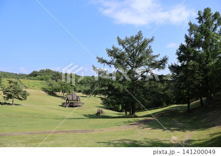 狼野長根公園 青空の下の大きな木 狼野長根公園 青空の下の大きな木 141200049