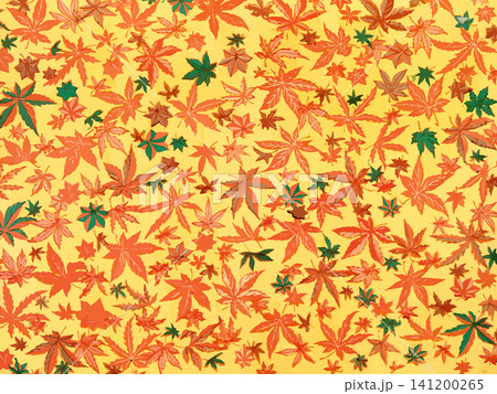 鮮やかな黄色地に紅葉の和柄千代紙素材 鮮やかな黄色地に紅葉の和柄千代紙素材 141200265