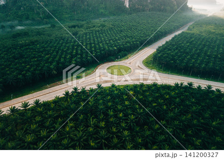 Aerial View of Circular Roundabout Intersection in Green Palm Forest Aerial View of Circular Roundabout Intersection in Green Palm Forest 141200327