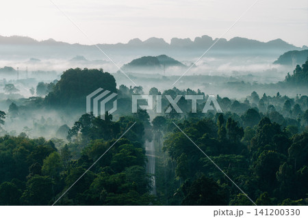 Drone View of Misty Forest Road and Limestone Peaks at Sunrise 141200330