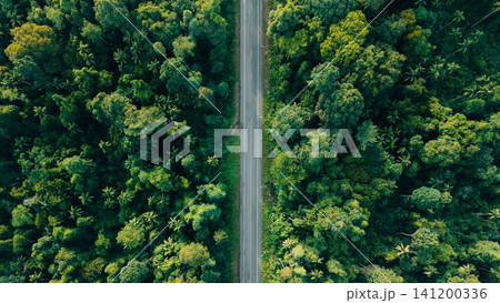 Top Down Aerial View of Empty Road Cutting Through Dense Tropical Forest 141200336