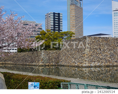 高松城跡(玉藻城跡・玉藻公園)の天守台と桜の木_香川県高松市(4月) 高松城跡(玉藻城跡・玉藻公園)の天守台と桜の木_香川県高松市(4月) 141200514
