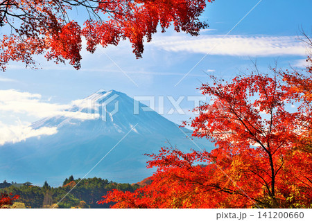 秋の紅葉と富士山 秋の紅葉と富士山 141200660