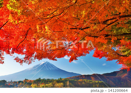 秋の紅葉と富士山 141200664
