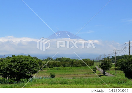 日本 静岡の風景 日本 静岡の風景 141201065