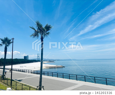 真夏の海と空と遊歩道 真夏の海と空と遊歩道 141201316
