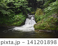 魚止めの滝 141201898