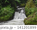 魚止めの滝 141201899