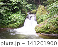 魚止めの滝 141201900