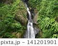 竹之高地不動社不動滝 141201901