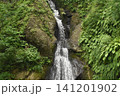 竹之高地不動社不動滝 141201902