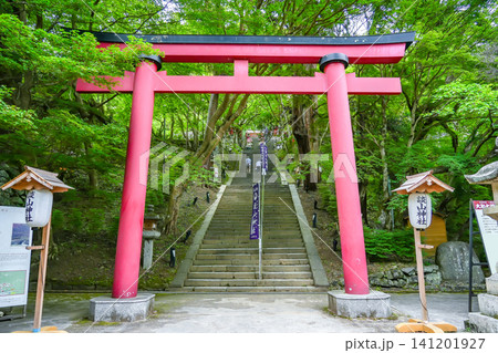奈良県桜井市　新緑が美しい談山神社の入り口の鳥居と階段 141201927