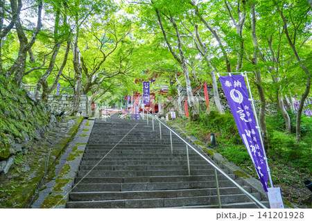 奈良県桜井市 新緑が美しい談山神社の入り口の階段と幟旗 奈良県桜井市 新緑が美しい談山神社の入り口の階段と幟旗 141201928