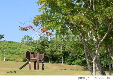 狼野長根公園　公園の大きな木 141202010