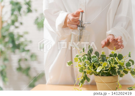 観葉植物の手入れをする女性 観葉植物の手入れをする女性 141202419