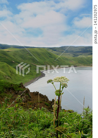 北海道 礼文島 ゴロタ岬~鉄府ハイキング 北海道 礼文島 ゴロタ岬~鉄府ハイキング 141202975