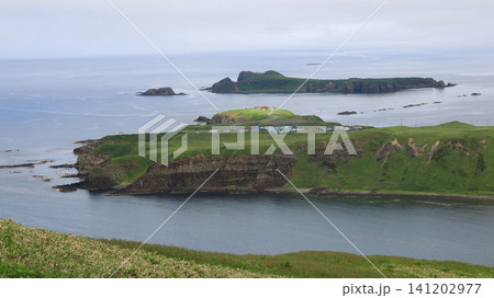 北海道 礼文島 ゴロタ岬~鉄府ハイキング 北海道 礼文島 ゴロタ岬~鉄府ハイキング 141202977