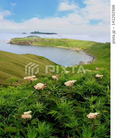 北海道 礼文島 ゴロタ岬~鉄府ハイキング 北海道 礼文島 ゴロタ岬~鉄府ハイキング 141202986