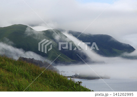 北海道 礼文島 ゴロタ岬~鉄府ハイキング 北海道 礼文島 ゴロタ岬~鉄府ハイキング 141202995