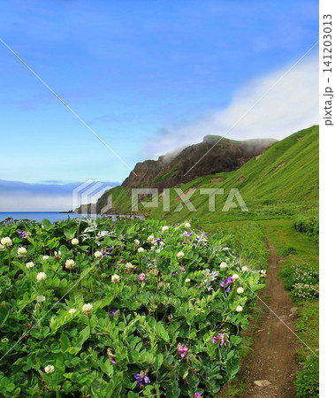 北海道　礼文島　ゴロタ岬～鉄府ハイキング 141203013