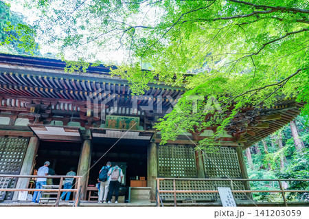 奈良県宇陀市 新緑の室生寺の本堂でお参りをする参拝客 奈良県宇陀市 新緑の室生寺の本堂でお参りをする参拝客 141203059