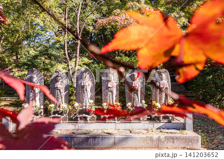 秋の色濃く、木々は緑から紅葉へ、寒さに向かう前に鮮やかな色に染まる 秋の色濃く、木々は緑から紅葉へ、寒さに向かう前に鮮やかな色に染まる 141203652