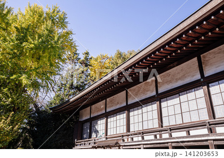 秋の色濃く、木々は緑から紅葉へ、寒さに向かう前に鮮やかな色に染まる 秋の色濃く、木々は緑から紅葉へ、寒さに向かう前に鮮やかな色に染まる 141203653