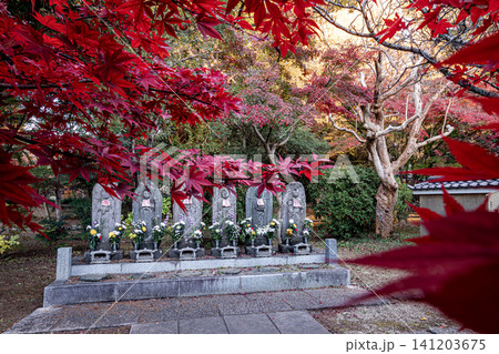 秋の色濃く、木々は緑から紅葉へ、寒さに向かう前に鮮やかな色に染まる 秋の色濃く、木々は緑から紅葉へ、寒さに向かう前に鮮やかな色に染まる 141203675
