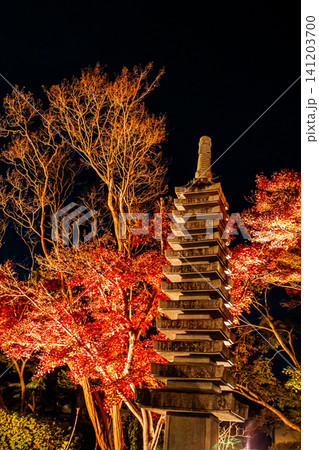 秋の色濃く、木々は緑から紅葉へ、寒さに向かう前に鮮やかな色に染まる 秋の色濃く、木々は緑から紅葉へ、寒さに向かう前に鮮やかな色に染まる 141203700