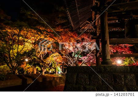 秋の色濃く、木々は緑から紅葉へ、寒さに向かう前に鮮やかな色に染まる 141203701
