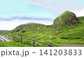 北海道　礼文島　桃台猫台 141203833
