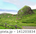 北海道　礼文島　桃台猫台 141203834