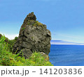 北海道　礼文島　桃台猫台 141203836