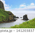北海道　礼文島　桃台猫台 141203837