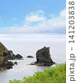 北海道　礼文島　桃台猫台 141203838