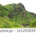 北海道　礼文島　桃台猫台 141203839