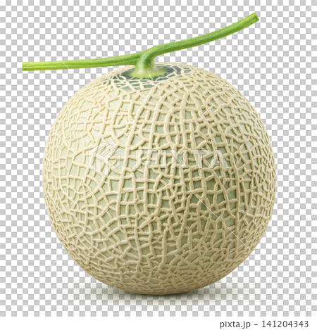 Realistic Melon Illustration on a White Background 141204343