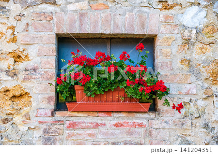 Brick house and small window decorated With Fresh Flowers in Italy Brick house and small window decorated With Fresh Flowers in Italy 141204351