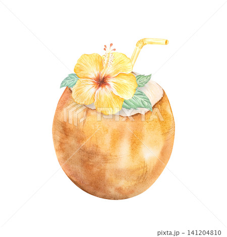 Watercolor illustration of a tropical coconut cocktail with a straw. Coconut water on the beach, while traveling, or on vacation. Hand-drawn summer yellow hibiscus flower. Suitable for design, print Watercolor illustration of a tropical coconut cocktail with a straw. Coconut water on the beach, while traveling, or on vacation. Hand-drawn summer yellow hibiscus flower. Suitable for design, print 141204810