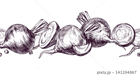 Beetroot vegetable illustrated border. Hand drawn sketch of beet in vintage engraving style. Black ink line art drawing of raw crop for organic food design, menu and culinary concept. 141204867