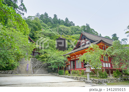 奈良県桜井市 新緑がさわやかな談山神社の権殿と十三重塔と神廟拝所 奈良県桜井市 新緑がさわやかな談山神社の権殿と十三重塔と神廟拝所 141205015