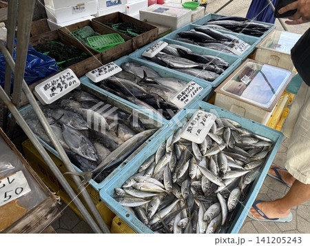 勝浦朝市に並ぶ新鮮なカツオやアジなどの鮮魚 141205243