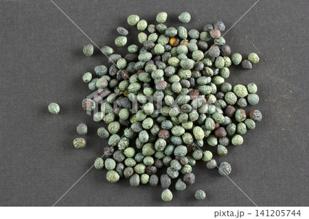 Pistacia terebinthus, Fruits of Terebinth. Menengic seeds. Citlembik. 141205744