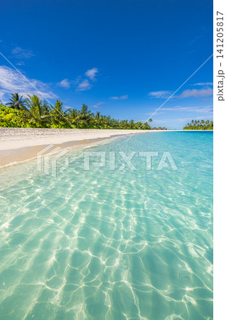 Vertical view of shallow turquoise lagoon with sunlight patterns on sandy bottom. Crystal clear water by white tropical beach with palms, bright caustic light texture. Refreshing paradise scene Vertical view of shallow turquoise lagoon with sunlight patterns on sandy bottom. Crystal clear water by white tropical beach with palms, bright caustic light texture. Refreshing paradise scene 141205817