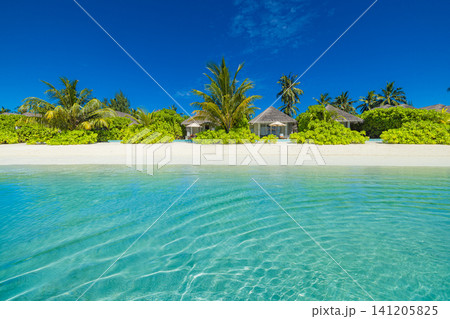 White sand tropical beach with lush palm trees and clear turquoise lagoon. Beach villas hidden in green vegetation on Maldives island, calm shallow water in bright daylight. Classic paradise coastline White sand tropical beach with lush palm trees and clear turquoise lagoon. Beach villas hidden in green vegetation on Maldives island, calm shallow water in bright daylight. Classic paradise coastline 141205825