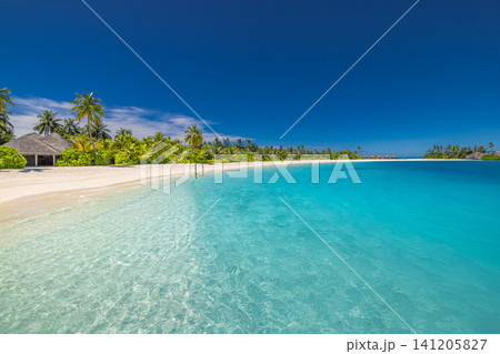 Wide tropical lagoon panorama with palm lined beach and water villas in distance. Transparent turquoise sea over pale sand, Maldives resort island under blue sky. Expansive paradise seascape travel 141205827