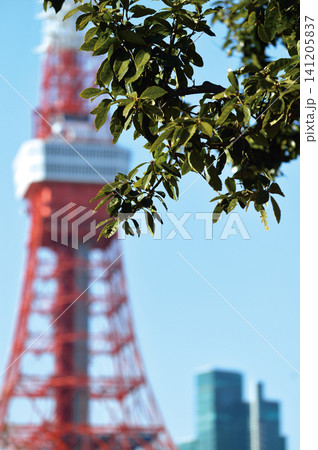 芝公園 141205837